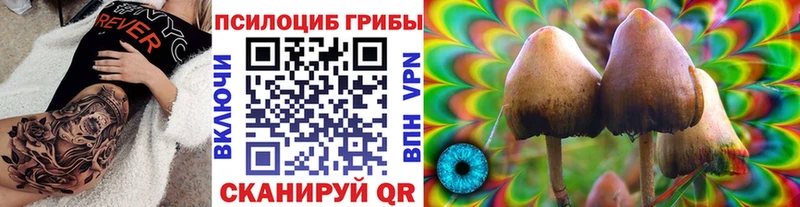 Купить  Уссурийск  Псилоцибиновые грибы MAGIC MUSHROOMS 